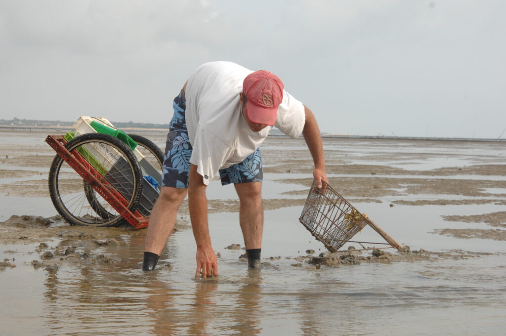 Pêche à pied professionnelle