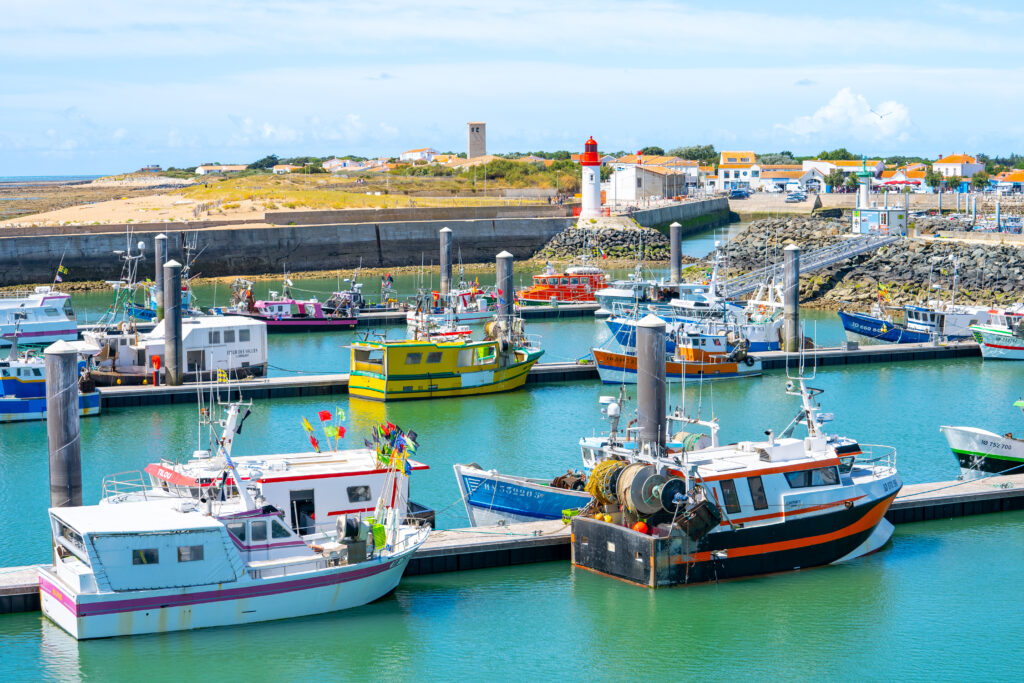 La pêche en mer
