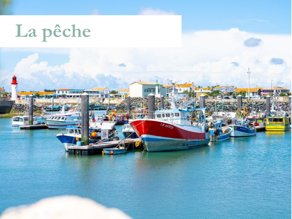 La pêche