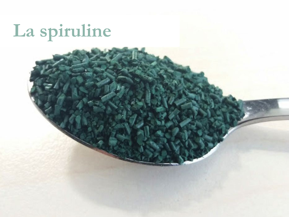 La spiruline