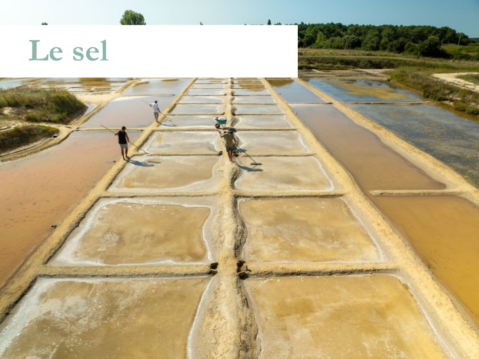 Le sel