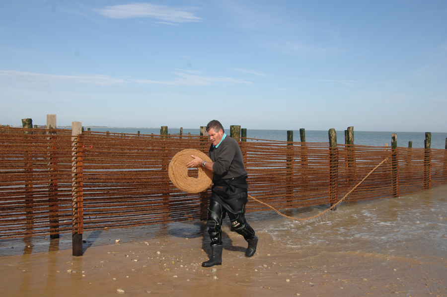 Mytiliculture Yves Ronzier